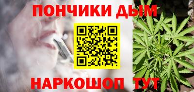 дмт Бердск