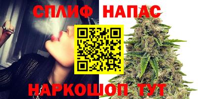 дмт Бердск