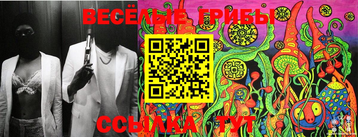 Псилоцибиновые грибы Cubensis Ачинск