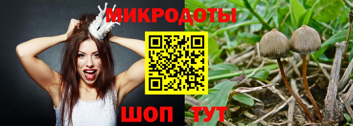 Псилоцибиновые грибы Cubensis  Галлюциногенные грибы Cubensis  Ачинск  Вход с VPN 